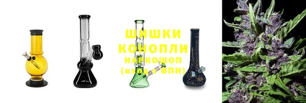 стаф Пестово