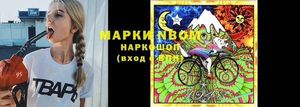 стаф Пестово