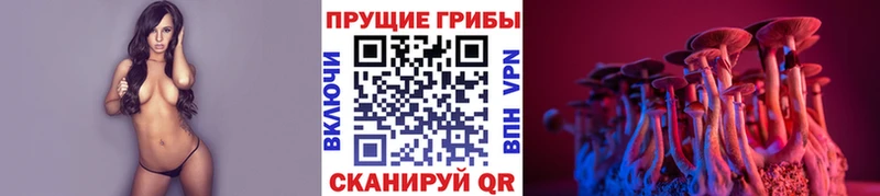 Галлюциногенные грибы Psilocybe  где найти   Менделеевск 